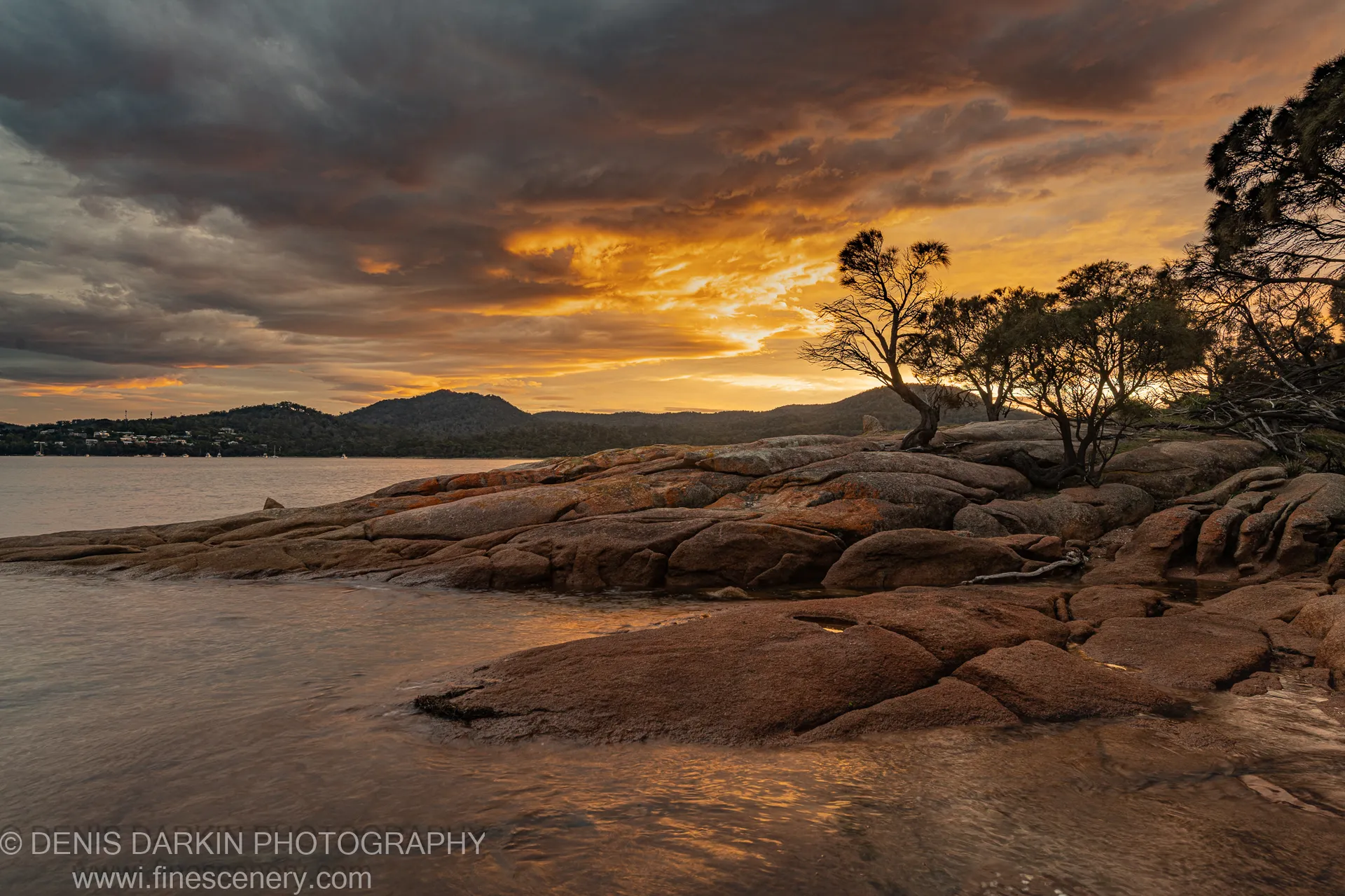 Massive pink granite boulders along the Coles Bay shoreline with a silhouetted eucalyptus, storm clouds lifting to warm morning light above calm water.