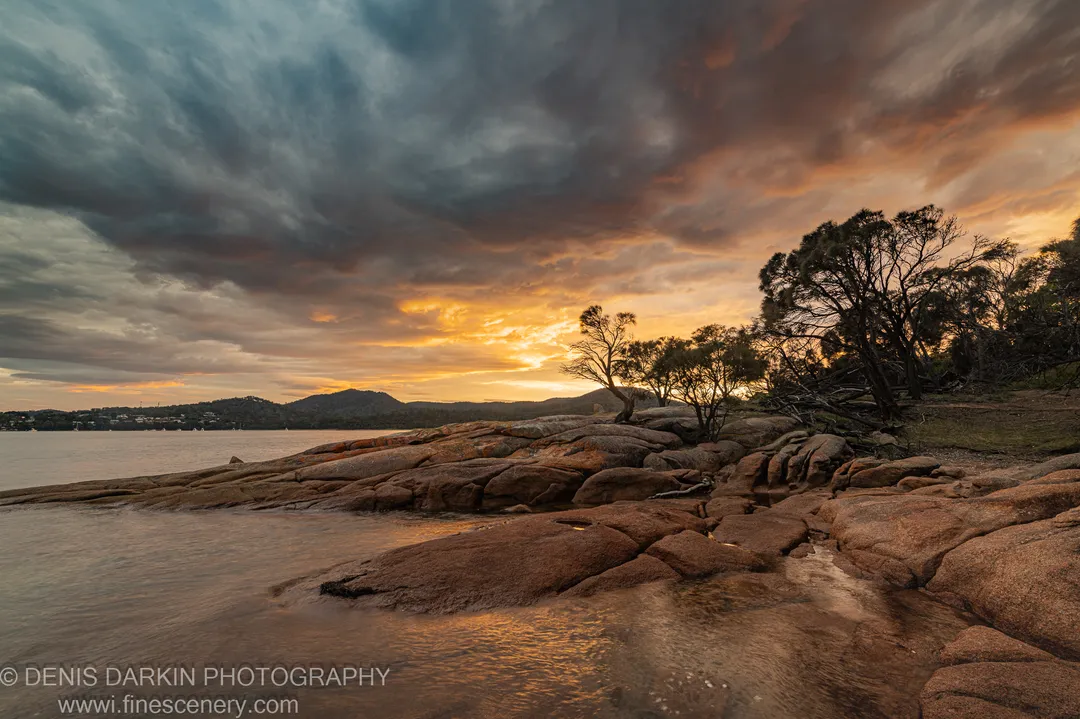 Wet reddish-brown granite in the foreground at Coles Bay, with silhouetted trees against a sky breaking from storm cloud into morning light.