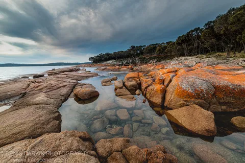 Vibrant orange lichen covers granite boulders and rounded cobblestones beside clear tidal pools at Coles Bay as storm clouds gather overhead, April 2022.