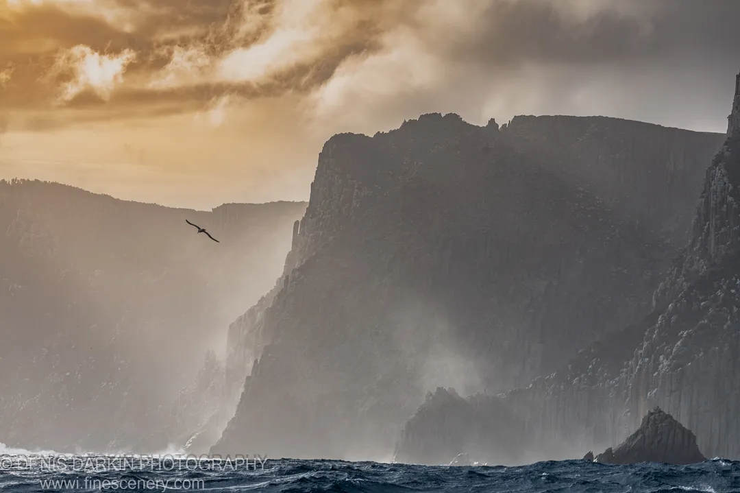 A single seabird soars between vertical columnar cliffs at Cape Pillar, Tasman Peninsula, below a sky of warm light and heavy cloud, April 2022.
