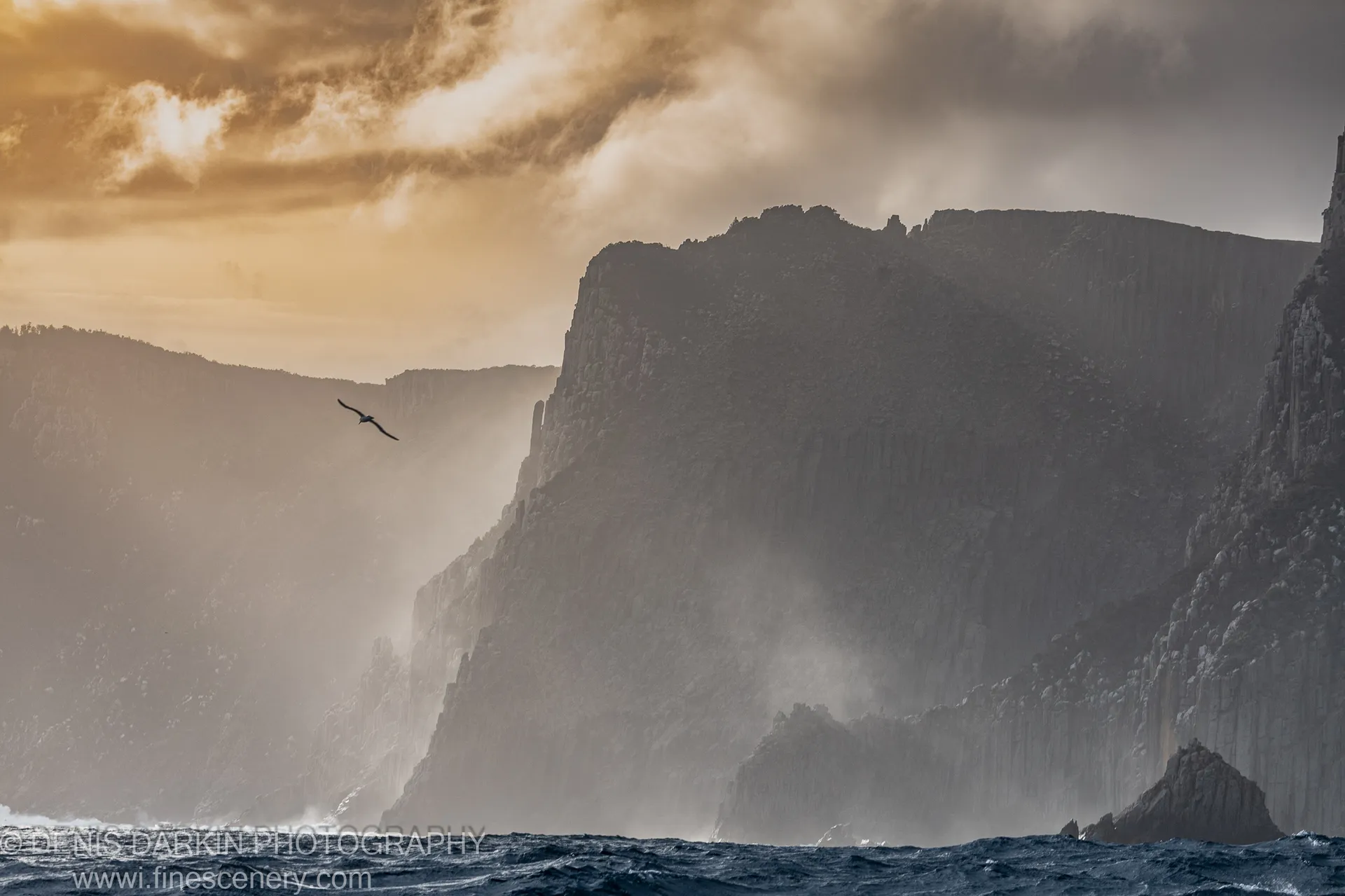 A single seabird soars between vertical columnar cliffs at Cape Pillar, Tasman Peninsula, below a sky of warm light and heavy cloud, April 2022.