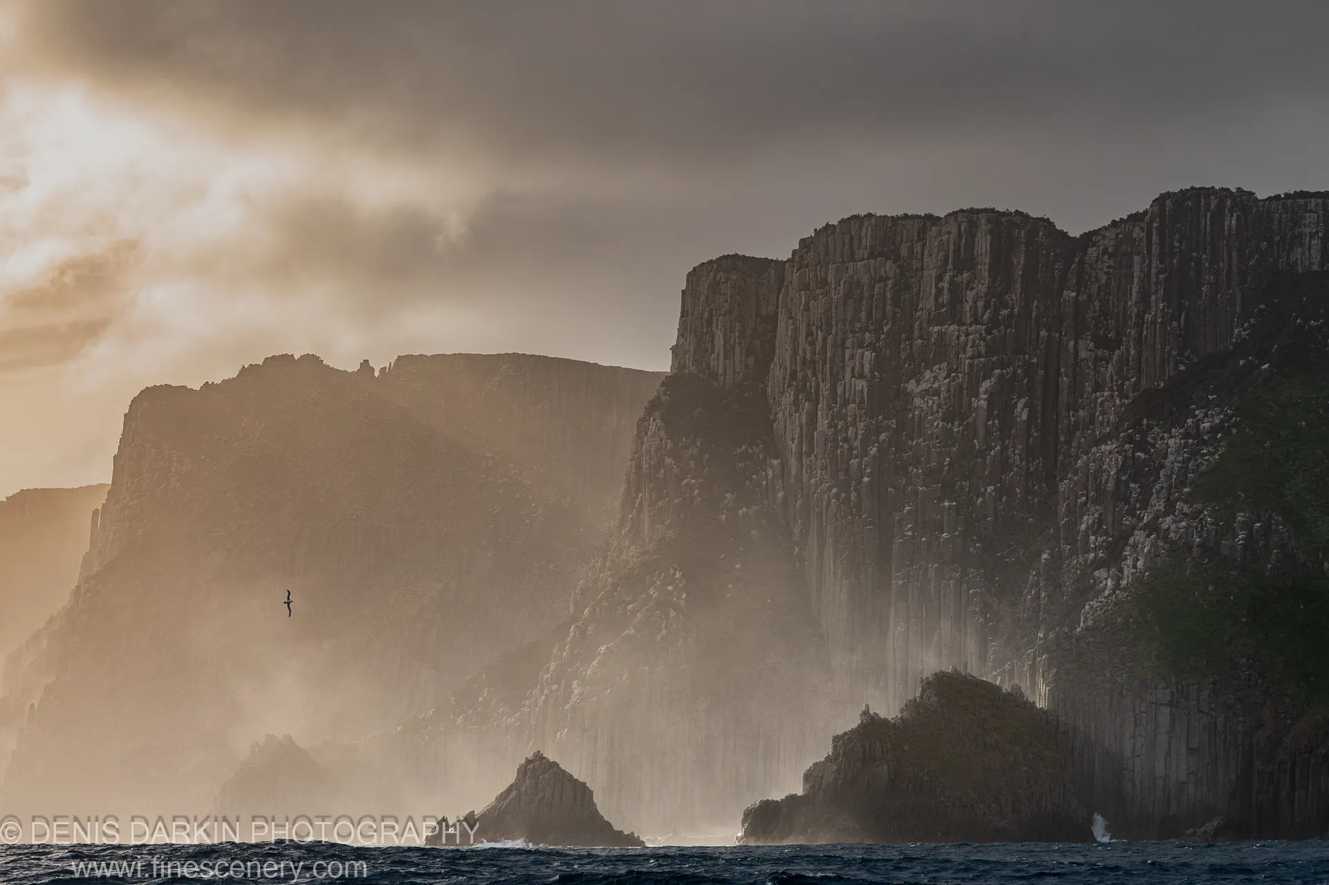 A bird in silhouette before Cape Pillar's massive basalt columns, warm haze on the left and deep shadow on the right, April 2022.