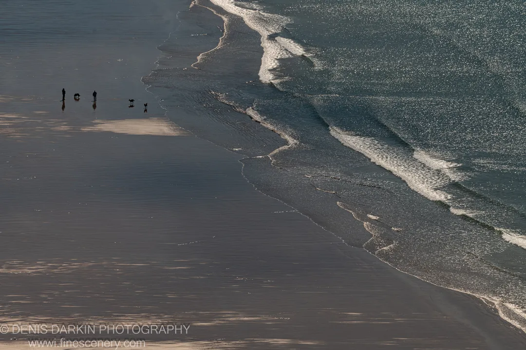 Two figures with dogs silhouetted against the glinting wet sand at Stanley Beach, Tasmania, midday in late autumn.