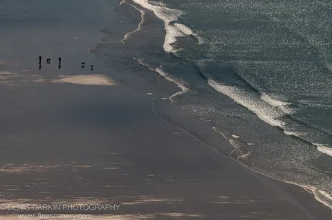 Two figures with dogs silhouetted against the glinting wet sand at Stanley Beach, Tasmania, midday in late autumn.