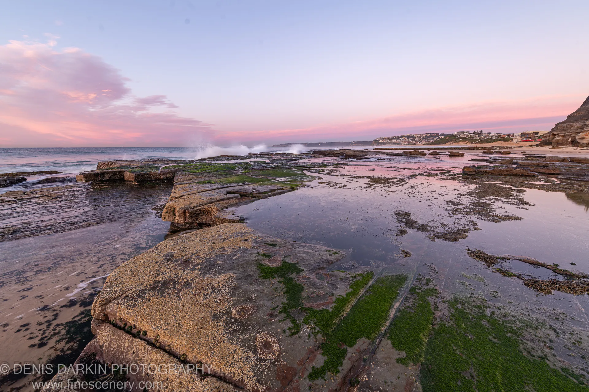 Pink dawn light over a Newcastle rock platform at low tide, algae-covered sandstone in the foreground and waves at the distant shore.