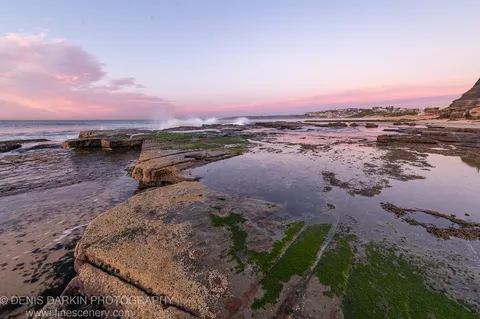 Pink dawn light over a Newcastle rock platform at low tide, algae-covered sandstone in the foreground and waves at the distant shore.
