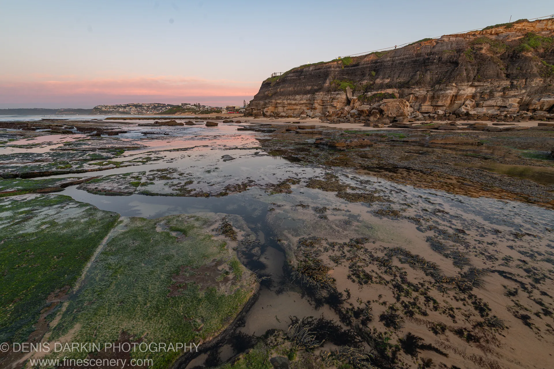 Rock pools at Newcastle's tidal flats reflect the pink glow of winter sunrise, algae-covered foreground below a massive sandstone cliff on the right.