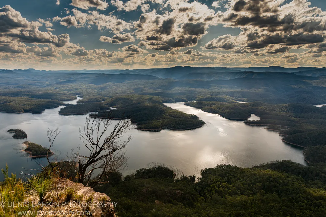Bare branches of a dead tree stand above a sunlit reservoir winding through green hills and layered mountains at golden hour, New South Wales.