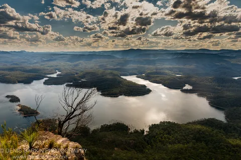 Bare branches of a dead tree stand above a sunlit reservoir winding through green hills and layered mountains at golden hour, New South Wales.