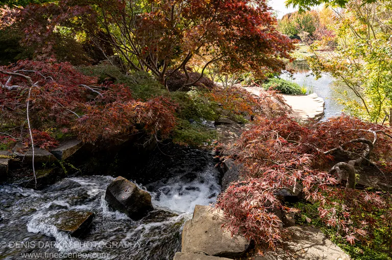 Mayfield Gardens