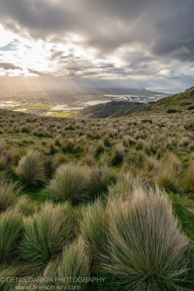 A Road Trip from Christchurch to Queenstown