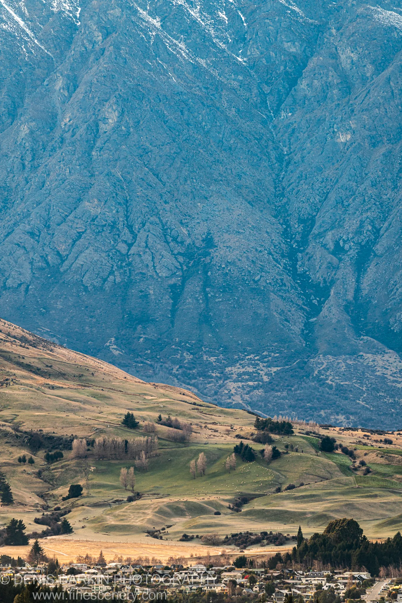 Rolling pasture in predawn light below a towering blue-grey mountain massif, with grazing livestock on the hillside near Queenstown, New Zealand.