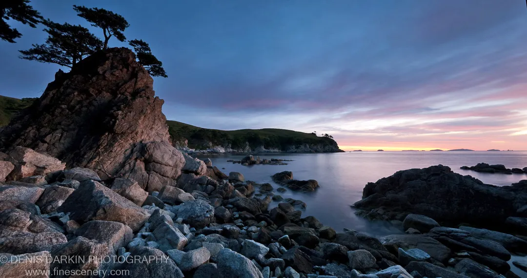 A lone wind-swept pine tops a craggy rock outcrop at Gamov Cape, with long-exposure water smoothed below a pink and blue morning sky.