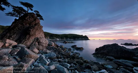 A lone wind-swept pine tops a craggy rock outcrop at Gamov Cape, with long-exposure water smoothed below a pink and blue morning sky.