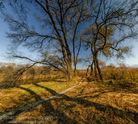 Long shadows stretch across a dry grass bank as a dirt path winds toward a river bend, bare trees silhouetted against blue sky, Suchan.