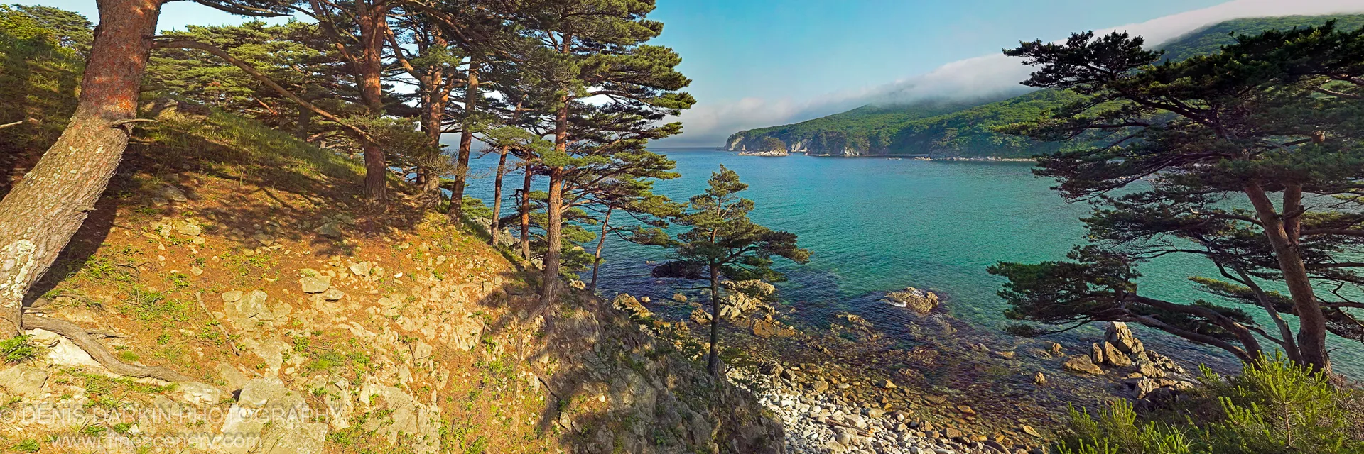 Sunlit coastal pines and rocky terrain above the turquoise bay, Far East Marine Reserve, with low clouds over distant mountains.
