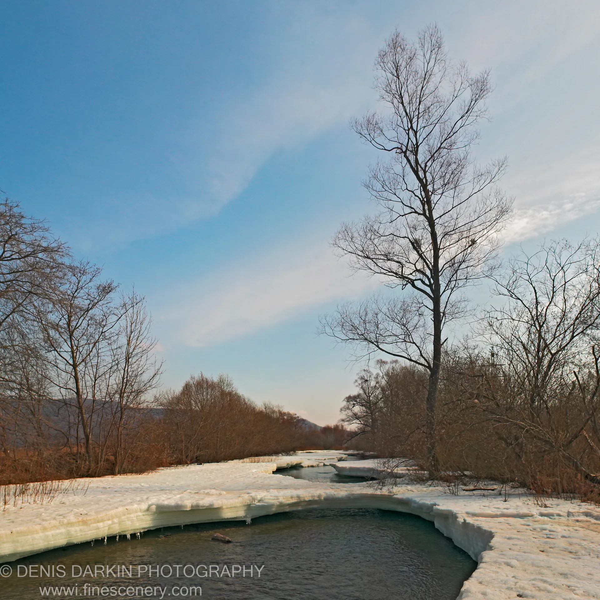 A winter river in Primorsky Krai flows between thick white ice shelves, bare trees rising on both banks beneath a pale blue sky.