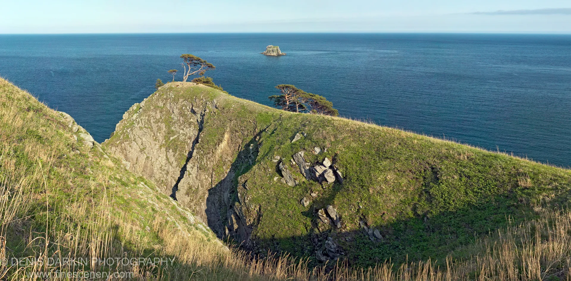A rugged, grass-covered headland with windswept conifers along the ridge, overlooking deep blue ocean and a solitary sea stack in the distance.