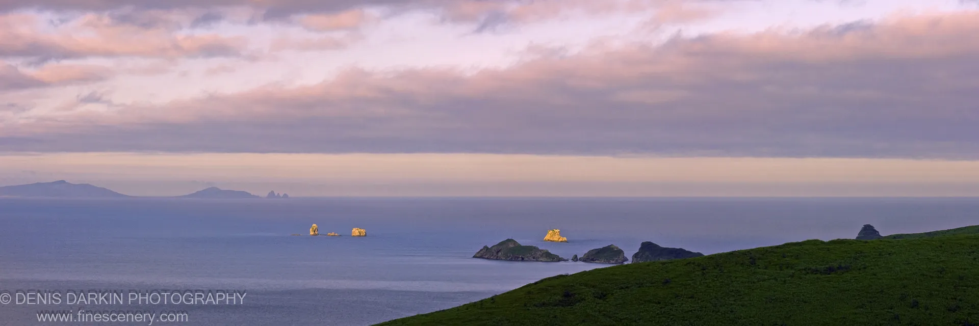 Pink and purple dusk clouds stretch above calm blue water in the Far East Marine Reserve, with a green grassy headland and sea stacks in the middle distance.