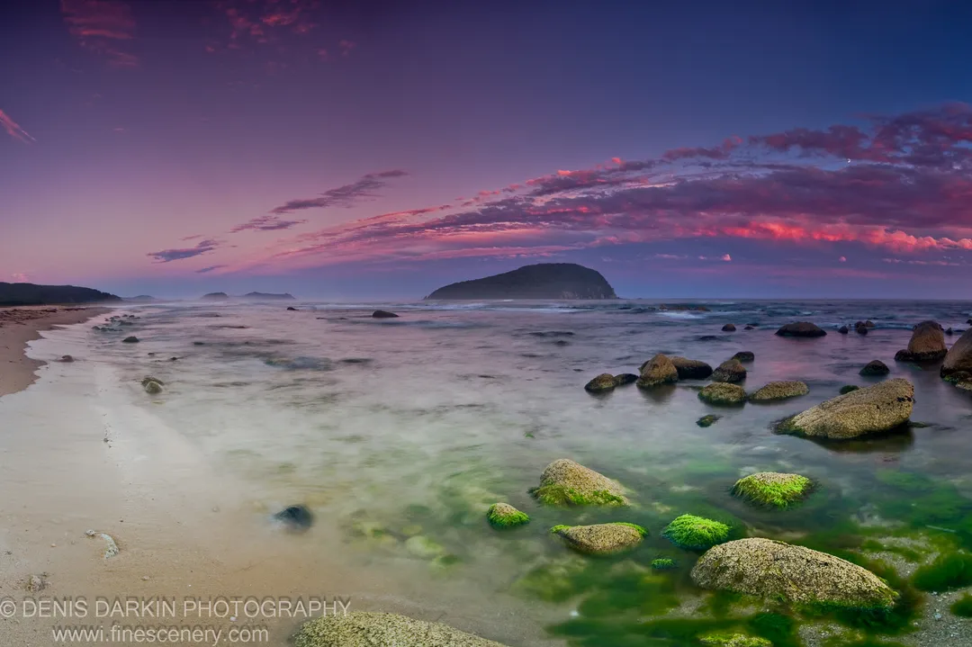 Bright green algae clings to scattered tidal boulders at Petrova Island as the sandy beach curves toward distant silhouetted headlands at dusk.