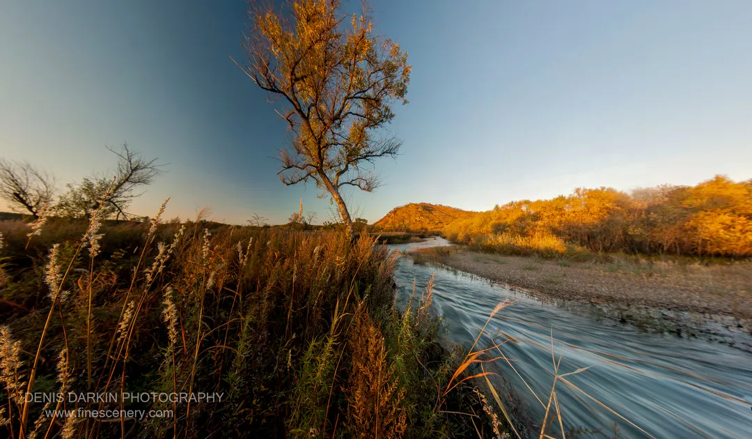 Reed grass and a bare deciduous tree line the Komissarovka riverbank in late autumn light, with forested hills visible across the streaked water.