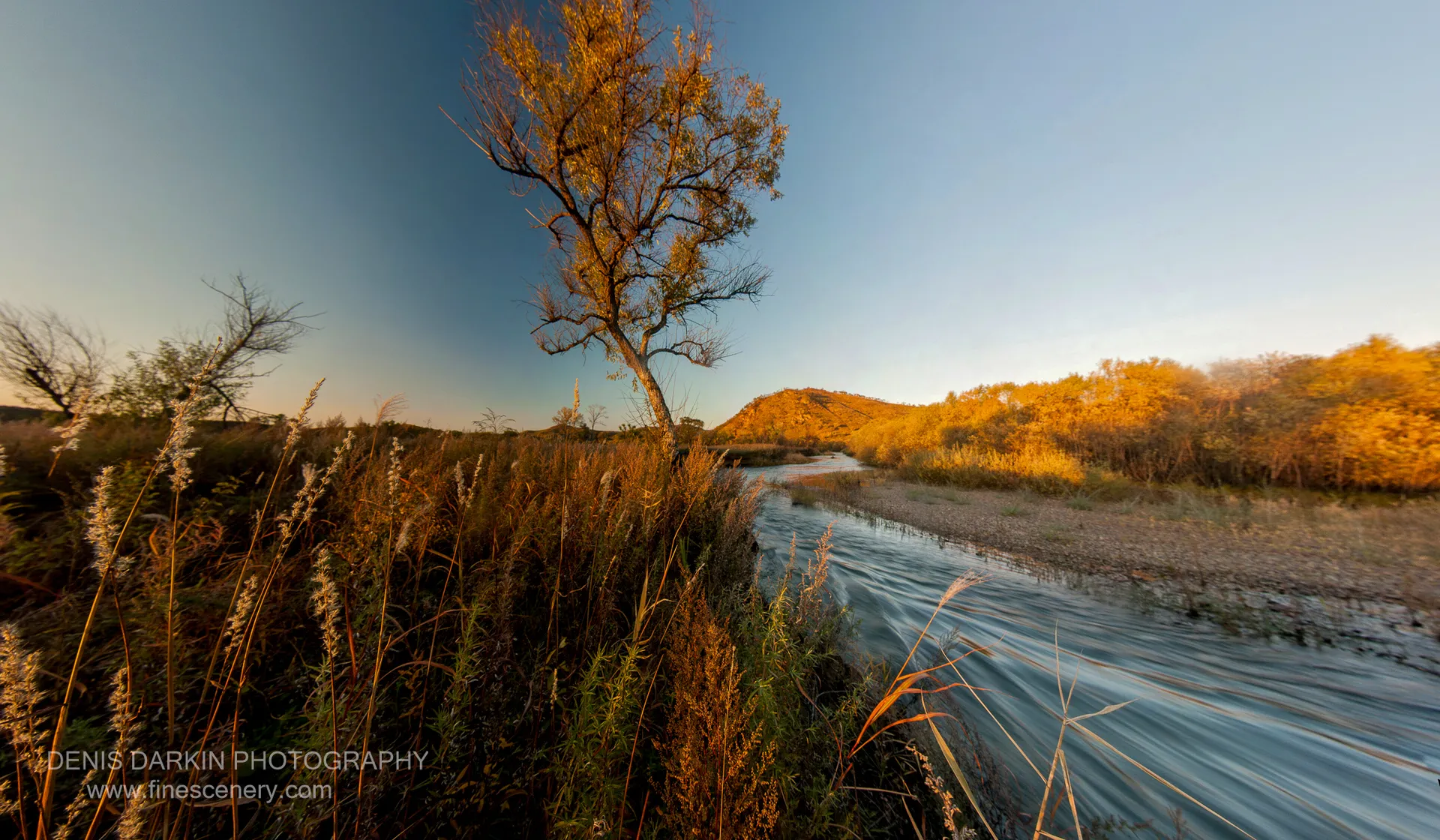 Reed grass and a bare deciduous tree line the Komissarovka riverbank in late autumn light, with forested hills visible across the streaked water.