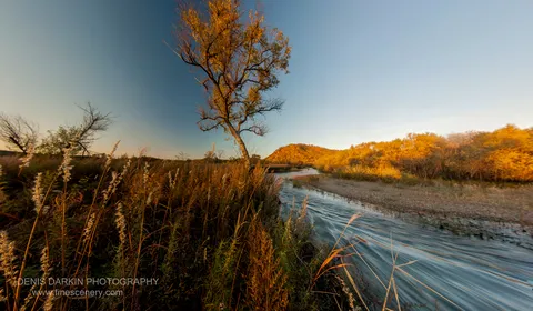 Reed grass and a bare deciduous tree line the Komissarovka riverbank in late autumn light, with forested hills visible across the streaked water.