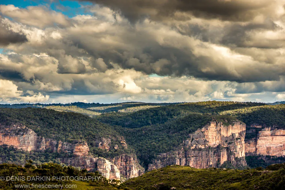 Steep sandstone cliffs rise above a forested valley in the Blue Mountains, beneath a large cumulus cloud formation.