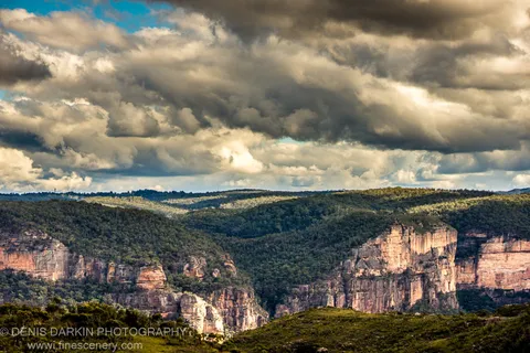 Steep sandstone cliffs rise above a forested valley in the Blue Mountains, beneath a large cumulus cloud formation.