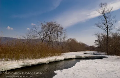 River channel carved through layered ice and snow banks, with icicles hanging at the melting edge and dry reeds in the foreground.