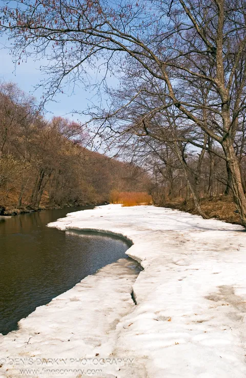 Melting ice sheet along the Steklyanukha River bank, with bare trees bearing catkins and a sunlit forest slope beyond.