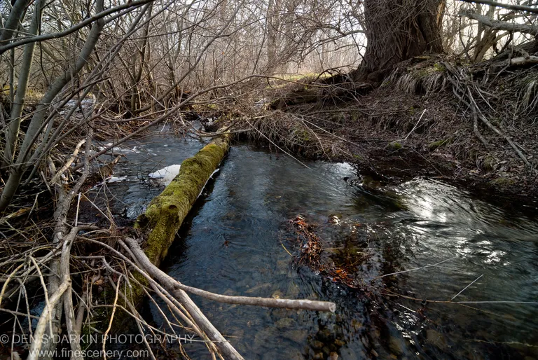 Spring