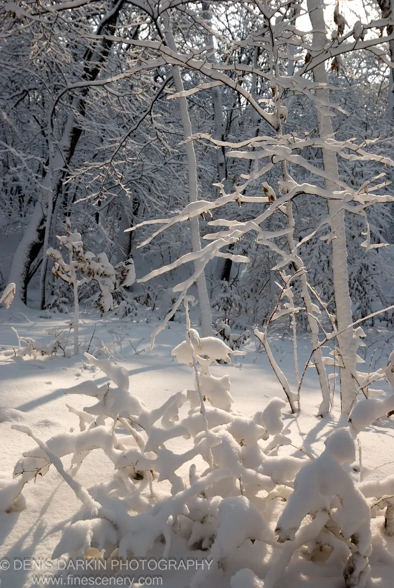 Snow