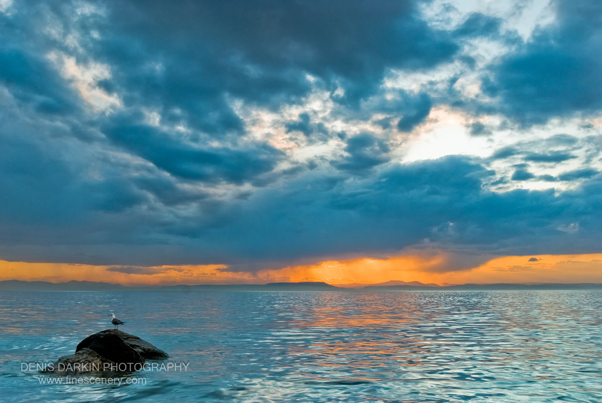 A solitary seagull perches on a dark coastal rock at dusk, silhouetted against an orange-and-blue sunset sky over Vladivostok Bay.