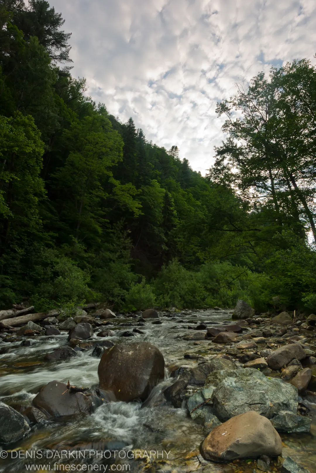 Whitewater rushes over smooth, wet boulders in a rocky stream bed below a densely forested slope near Partizansk, Primorsky Krai.