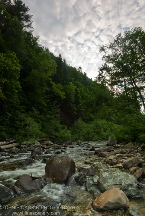Whitewater rushes over smooth, wet boulders in a rocky stream bed below a densely forested slope near Partizansk, Primorsky Krai.