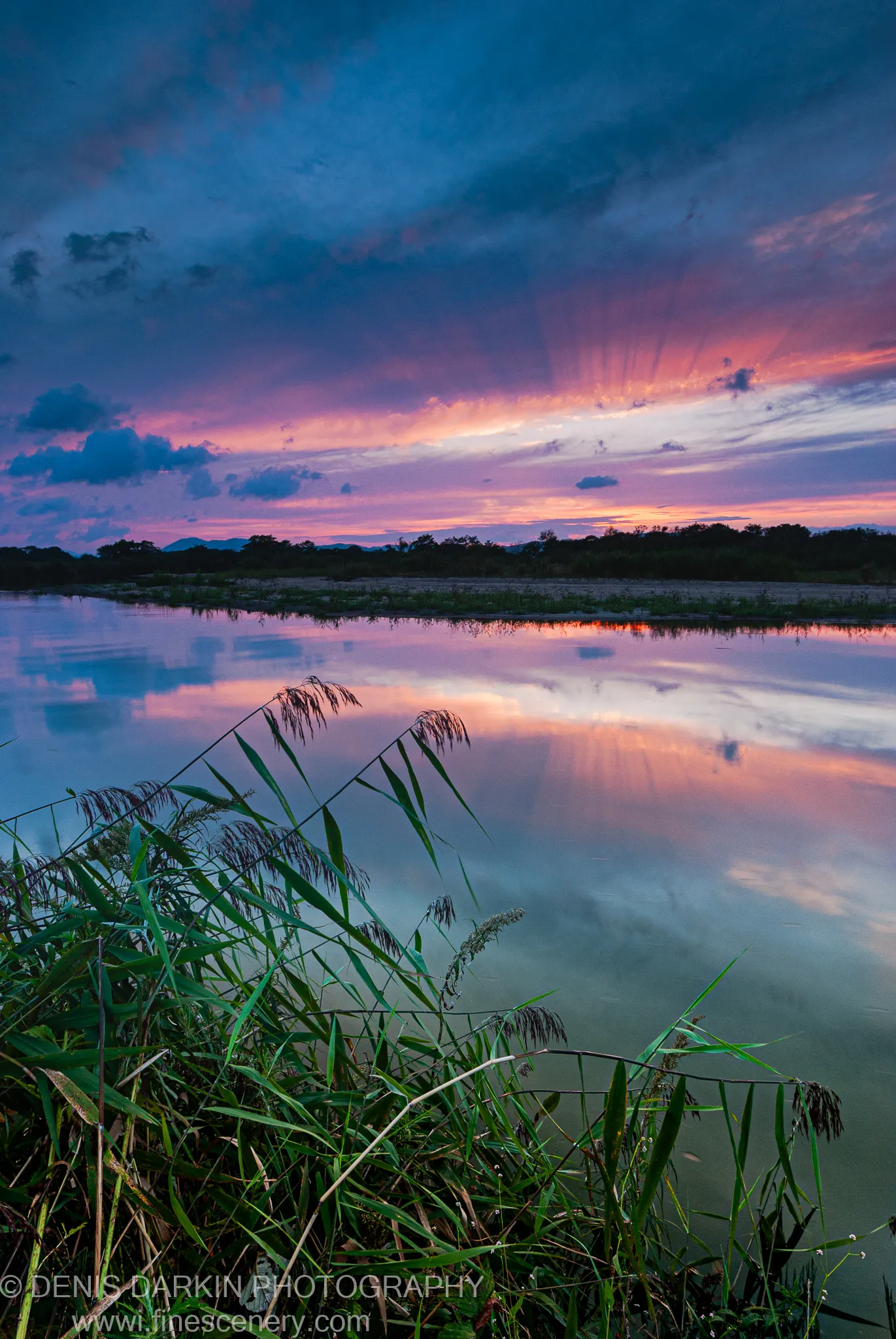 Radiating sunbeams and pink clouds at dusk reflected in the still water of a marsh at Sidemi, green reeds in the foreground.