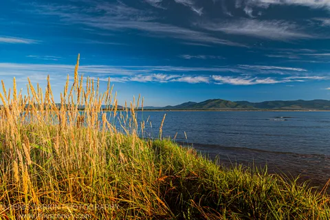 Backlit seed heads of tall autumn grass stand in the foreground above the deep blue water of Sidemi Bay, with cirrus clouds above.