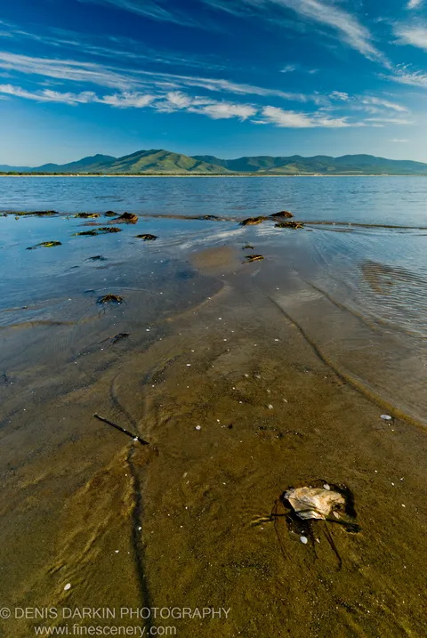 Wet sand patterns in the foreground lead toward floating seaweed and green hills under a blue cirrus sky at low tide, Hasan coast.