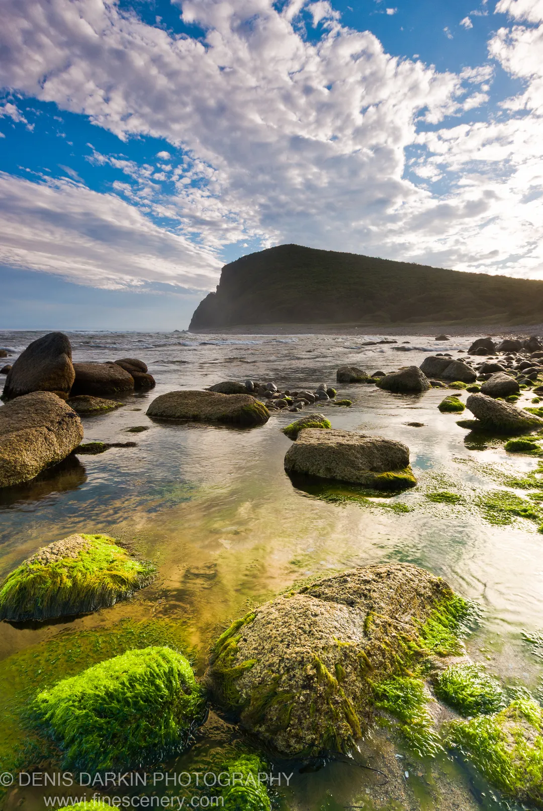 Green moss covers smooth boulders in shallow water at Petrova Island, a forested peninsula silhouetted against bright clouds at golden hour.