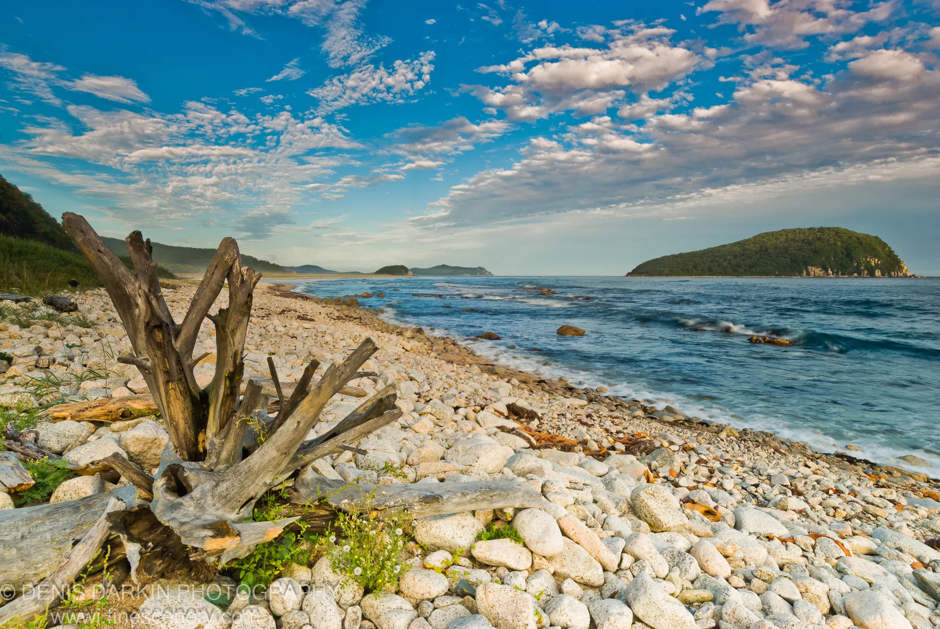 Weathered driftwood on the rocky shore at Petrova Island, warm golden light catching the wood and stones against deep blue water.