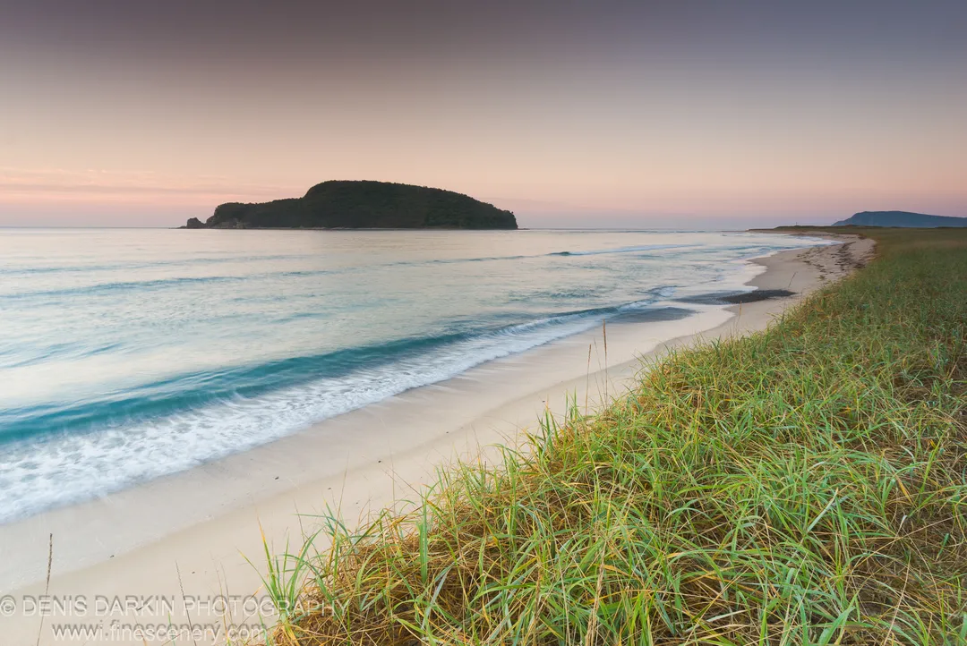 Tall dune grass in the foreground with a curved beach, smooth surf, and a forested island silhouette at Petrova Island, Lazovsky Reserve.