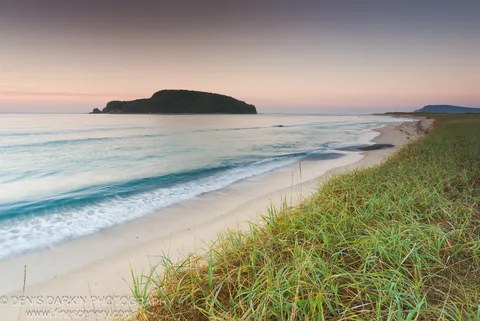 Tall dune grass in the foreground with a curved beach, smooth surf, and a forested island silhouette at Petrova Island, Lazovsky Reserve.