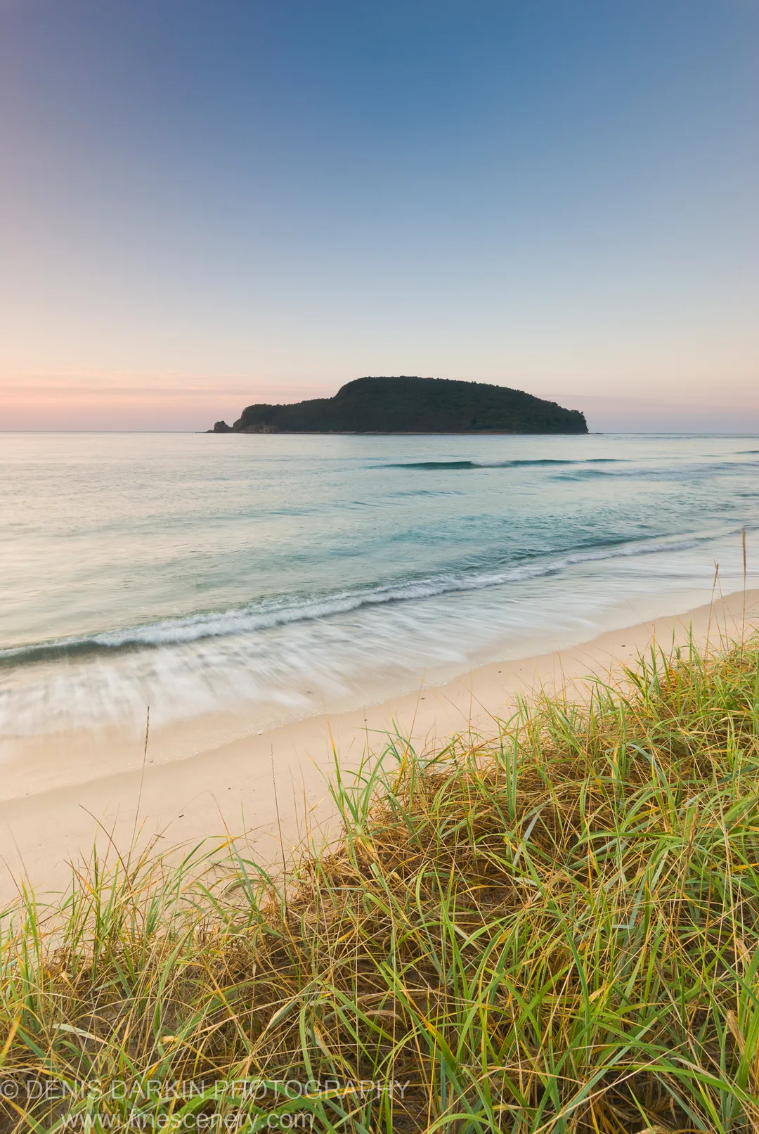 Coastal grass at lower right, soft morning surf on the sandy shore, and a forested island against the pale morning sky at Petrova Island.