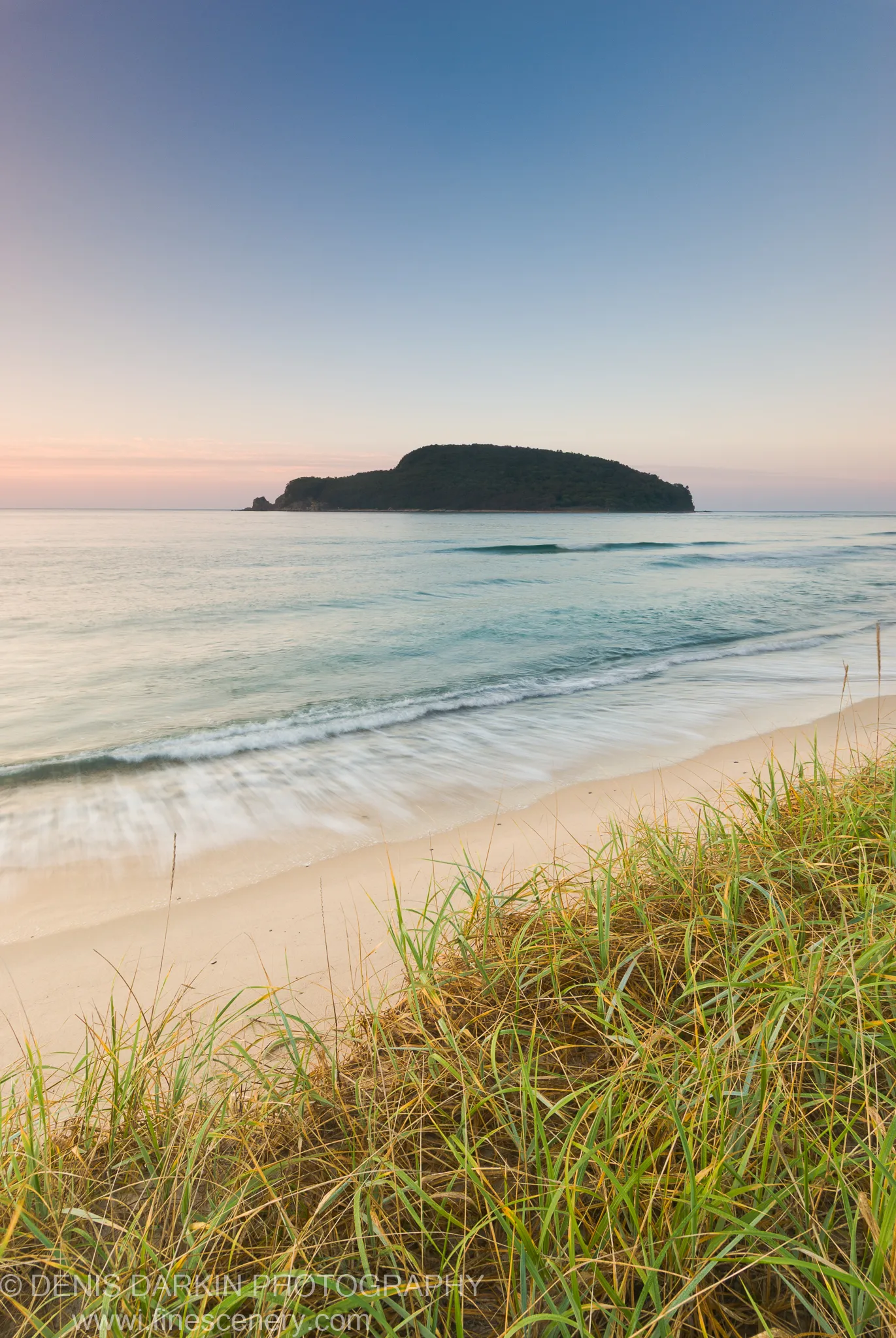 Coastal grass at lower right, soft morning surf on the sandy shore, and a forested island against the pale morning sky at Petrova Island.