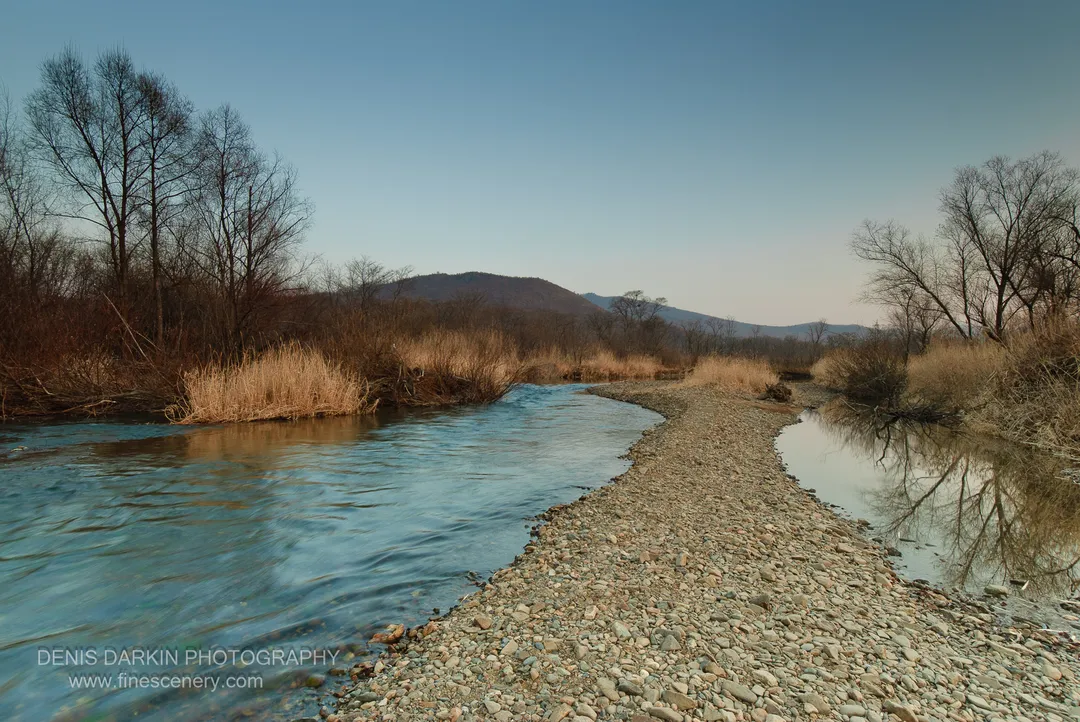 Gravel spit dividing a river channel from a calm pool, with bare deciduous trees and dried reeds at the mouth of the river, Petrova Island.