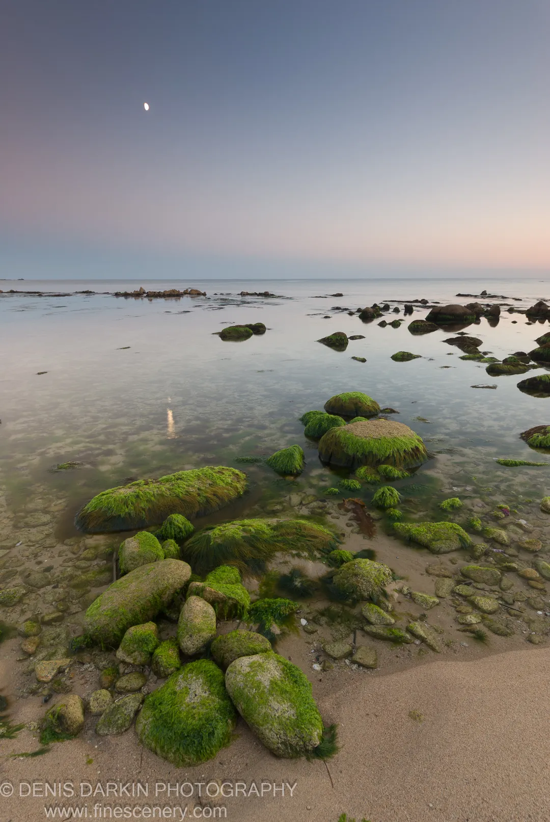 Algae-covered boulders in shallow glassy water at Petrova Island, Lazovsky Reserve, beneath a soft pink horizon with a faint crescent moon.