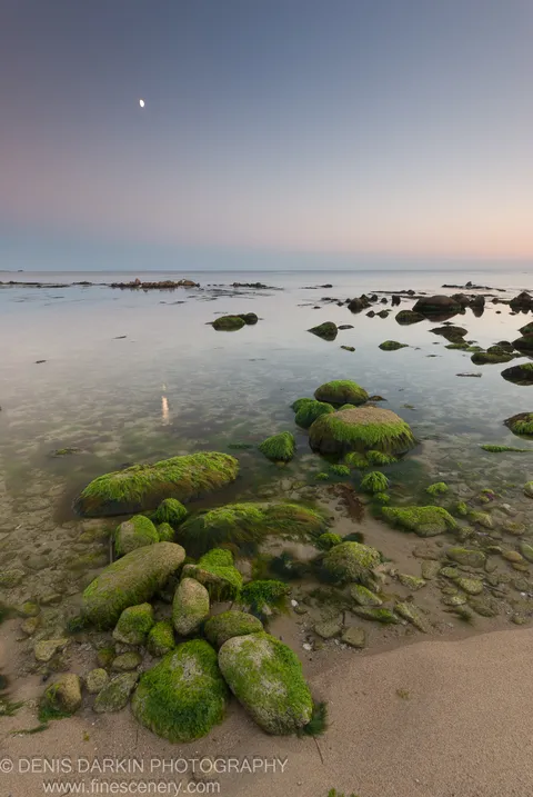 Algae-covered boulders in shallow glassy water at Petrova Island, Lazovsky Reserve, beneath a soft pink horizon with a faint crescent moon.
