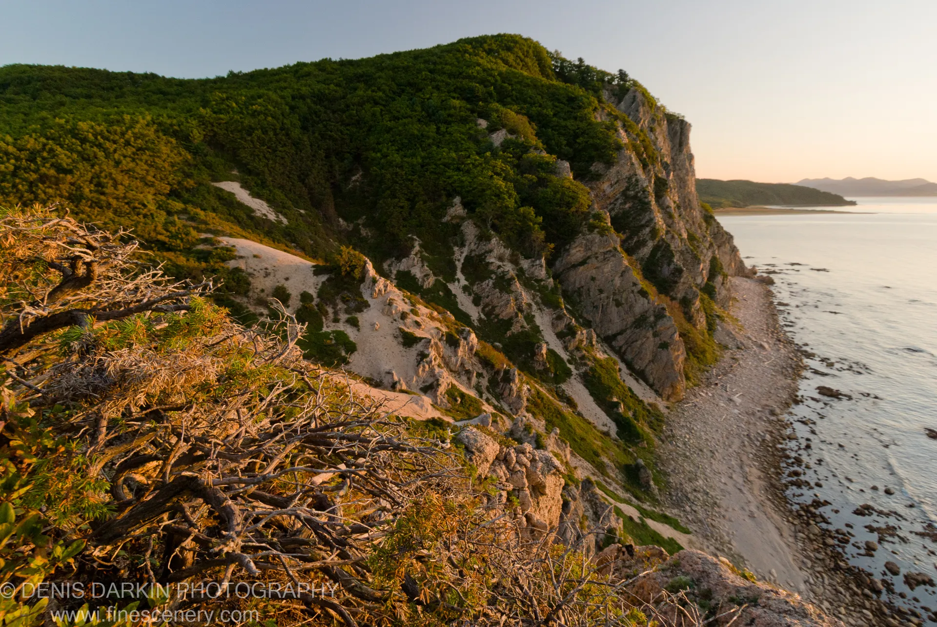 Twisted dead branches in the foreground with a steep limestone cliff face above pebble shoreline and calm water, morning light at Petrova Island, Lazovsky Reserve.