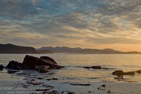 Dark coastal rocks with floating kelp in calm sea at Preobrazheniye, Lazovsky Reserve, with hazy mountain ridges on the horizon under warm morning light.